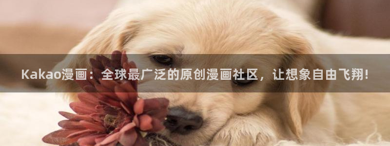 虫虫漫画下载app免费