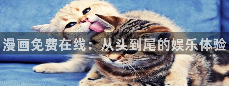 虫虫漫画下载安装：漫画免费在线：从头到尾的娱乐体验